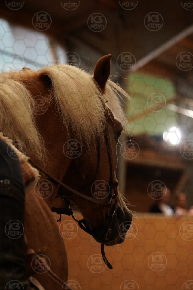 s_A9_08887.jpg